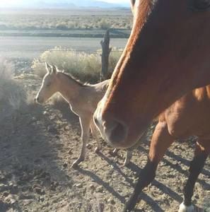 Meet your Posher, Mattylyn